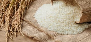 برنج گرده چیست؟ با برنج گرد چه غذاهایی می توان درست کرد؟