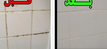 نحوه تمیز کردن و از بین بردن جرم و قارچ های حمام و توالت