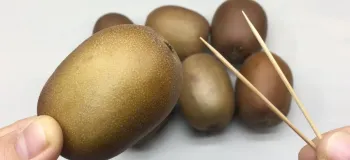 روش آسان و حرفه ای برای پوست کندن کیوی / کیوی را حرفه ای پوست بگیر (بدون کثیف کاری)