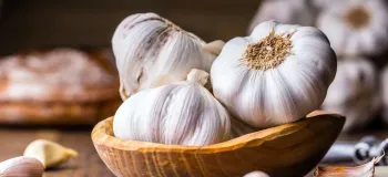 کاشت سیر سودآورترین محصول کشاورزی (با کاشت سیر، زمین بخرید)