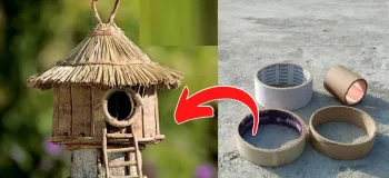آموزش گام به گام ساخت لانه زیبا برای پرنده با قوطی چسب ۵ سانتی
