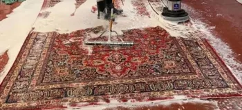 آموزش نحوه صحیح شستشوی فرش در منزل (از انتخاب مواد شوینده تا خشک کردن کامل)