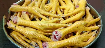 روشی ساده و خوشمزه برای پخت پای مرغ / از پاک کردن تا خورد کردن