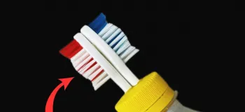 ایده خلاقانه بطری و مسواک! ساخت جا حبوباتی با بطری پلاستیکی