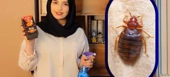 آموزش سمپاشی ساس منزل بدون تخلیه منزل