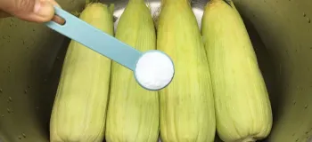 نحوه دون کردن و پختن ذرت بدون پوست گرفتن / دیگه ذرت و پوست نگیر