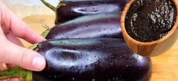 غذا با بادمجان / طرز تهیه غذای مجلسی با رب انار و بادمجان