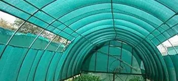 ساخت سایه بان طبیعی برای گیاهان در تابستان