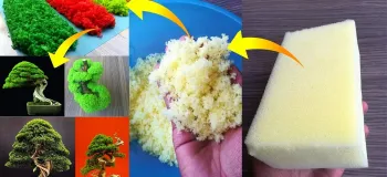 آموزش ساخت بنسای دکوری با یک تکه ابر