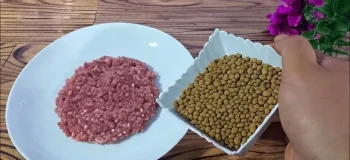 طرز تهیه کتلت با عدس / کتلت معمولی رو بذار کنار محشره و باید امتحانش کنی