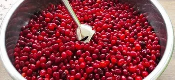 طرز تهیه غذایی که تابحال نخوردید / کلی وزن کم خواهید کرد