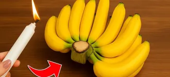 روش طبیعی برای نگهداری از موز برای مدت طولانی / تا ۶ ماه موز سیاه و نرم نمیشود