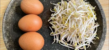 دیگه تخم مرغ را ساده سرخ نکنید / طرز تهیه صبحانه مقوی با تخم مرغ