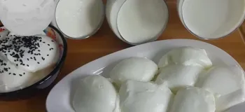 طرز تهیه ماست سفت قالبی / راز ماست سفت و خوشمزه که قاشق توش گیر می کنه