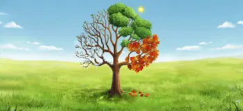 آموزش نقاشی درخت چهار فصل با توهم نوری سه بعدی ساده