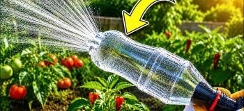 ساخت آبپاش با بطری پلاستیکی؛ آبیاری اقتصادی و خلاقانه برای باغچه