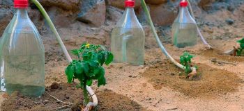 آموزش ساخت آبیاری قطره ای با بطری پلاستیکی؛ خلاقانه و رایگان