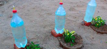 ترفند آبیاری اتوماتیک و قطره ای گیاهان با گوش پاک کن و بطری بازیافتی