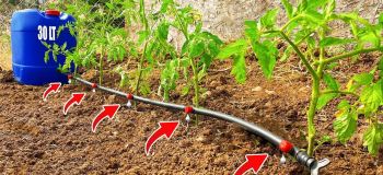 ساخت سیستم آبیاری قطره ای خانگی با بشکه پلاستیکی