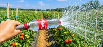 نحوه ساخت آبپاش بارانی با بطری نوشابه؛ آبیاری آسان و کم خرج برای باغچه