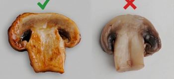 آموزش گام به گام برشته کردن قارچ با بافت گوشتی، بدون جذب روغن زیاد و لاستیکی شدن