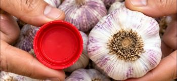 ۵ روش آسان برای پوست کندن سیر بدون دخالت دست