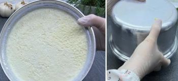 طرز تهیه ماست گوسفندی سفت و سنتی در خانه