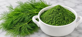 دیگه شوید خشک نکن / روش سریع استفاده از شوید بدون خشک کردن