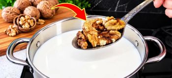 طرز تهیه پنیر گردویی یک صبحانه سالم و مقوی