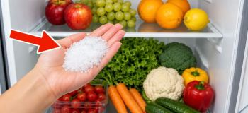ترفند نگهداری سبزیجات و میوه در یخچال؛ جلوگیری از گندیدگی، پلاسیدگی و کپک زدن