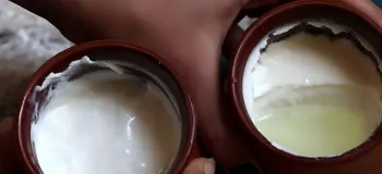 خواص بینظیر آب ماست برای لاغری و استخوان ها و ...