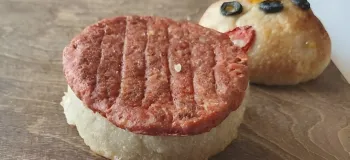 طرز تهیه برگر اقتصادی خوشمزه و حتی پولساز !!