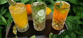 دستور تهیه سه مدل شربت مجلسی با کیوی پرتقال و سکنجبین