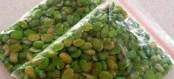 چطور باقلا سبز را برای مدت طولانی نگهداری کنید؟