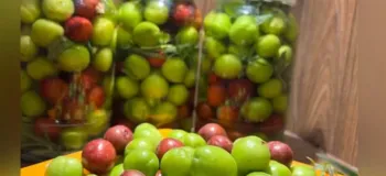طرز تهیه ترشی گوجه سبز خوشمزه و خانگی