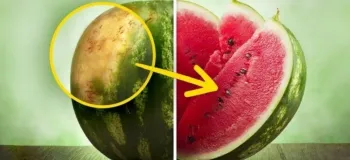 از خوردن این نوع هندوانه اجتناب کنید