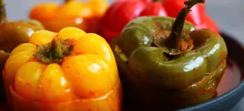 طرز تهیه دلمه فلفل دلمه ای با همه نکات