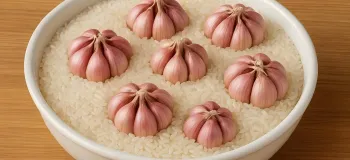 راز مادربزرگ ۸۰ ساله من برای دخیره طولانی مدت برنج بدون حشرات