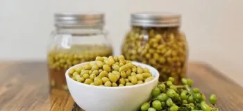 آموزش طرز تهیه شور غوره خوشمزه و سنتی