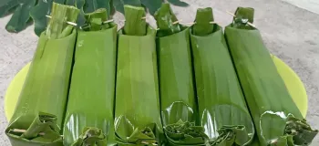 طرز تهیه یک ساندویچ عالی با مرغ و نان تست