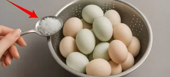 چگونه تخم مرغ ها را به صورت بلندمدت بدون یخچال نگهداری کنیم ؟