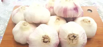 بهترین روش ها برای تازه نگه داشتن سیر به مدت طولانی