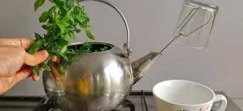 با این روش عرق هر گیاهی رو بدون دستگاه بگیر