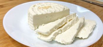 طرز تهیه پنیر خانگی با ۲ ماده (در کمترین زمان، پنیری تازه و بدون مواد نگهدارنده)