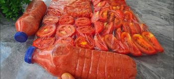 روش نگهداری گوجه فرنگی در فریزر؛ یک راهکار ساده برای تمام فصول