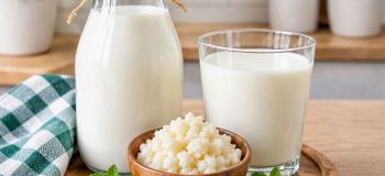 طرز تهیه یک قارچ کفیر پربیوتیک به همراه خواص شگفت انگیز آن