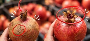 راهنمای انتخاب بهترین میوه و صیفی جات؛ با چند نکته ساده
