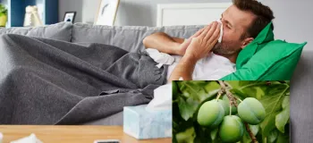 بررسی خواص گوجه سبز برای درمان سرماخوردگی