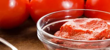 طرز تهیه بهترین غذاهای ایرانی با رب گوجه فرنگی