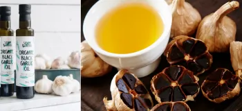 خواص روغن سیر سیاه بر سلامت انسان و روش استفاده از آن